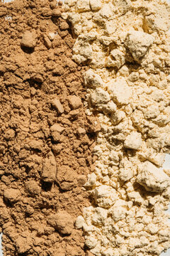 Protein Powder Closeup