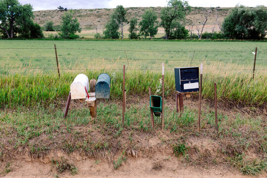 Several mailboxes nailed to posts on the side of a dirt road