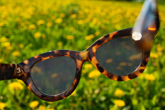 Sunglasses in front of a vibrant dandelion field on a sunny day