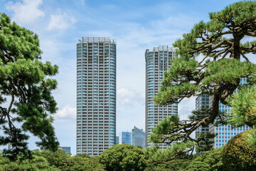 Jungle View of Tokyo Skyscrapers.