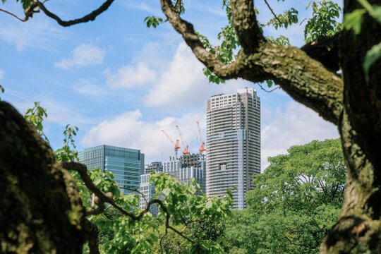 Urban Development and Natural Harmony.
