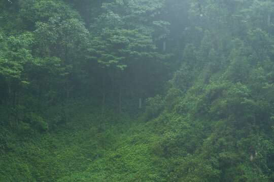 Distant Hills Green Trees Mist
