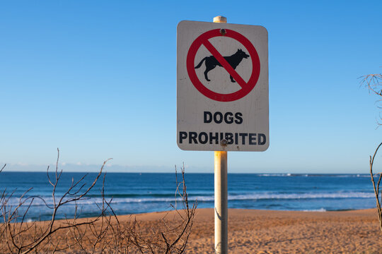 dogs prohibited sign