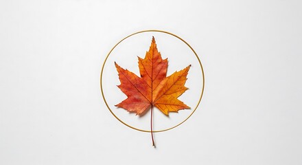 Leaf in Circle