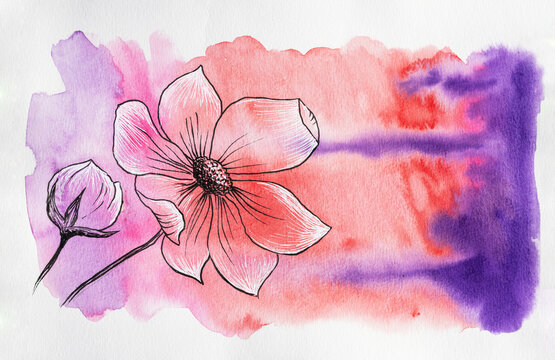 Analog floral watercolor illustration