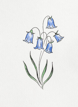Blue Flowers illusstration