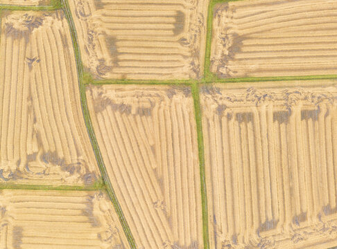 Aerial View Harvested Farm Fields Golden Stubble Patterns