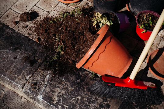 Gardening Chaos as Flower Pot Spills Soil Outside