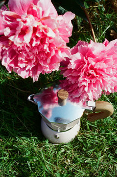 Bright pink peonies surround a coffee maker