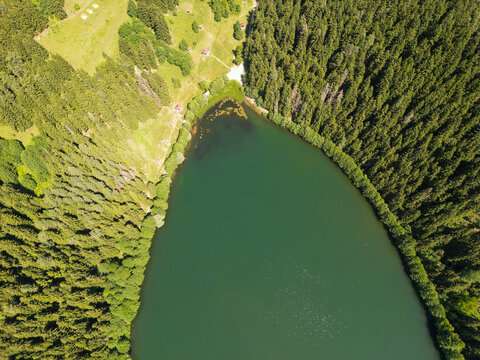 Aerial View of a Serene Lake Surrounded by Lush Green Forest