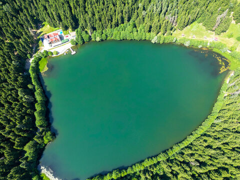 Aerial View of a Serene Lake Surrounded by Lush Green Forest