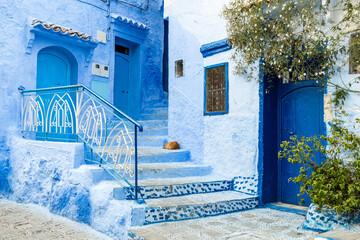 Ginger cat resting on blue stairs in Chefchaouen
