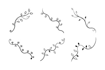long flowing vine with scattered leaf clusters vector set