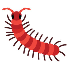 Isolated centipede insect vector icon in flat style. Great for insects, wildlife, nature study, bug illustration, and educational design projects.