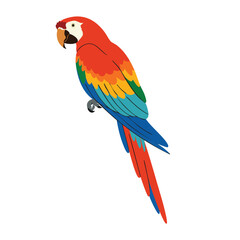 Isolated cute colored parrot cartoon character vector illustration, bright bird design ideal for animal themes, tropical artwork and playful graphics