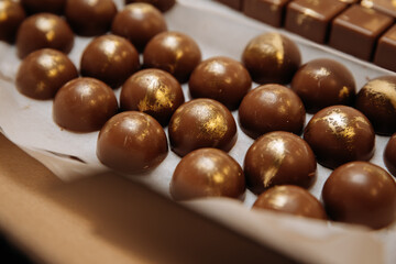 Luxury handmade chocolate bonbons with golden decor arranged in rows on parchment paper