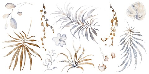 Tropical palm leaves and plants clipart. Hand drawn botanical watercolor illustration of isolated foliage and branches for decoration, wedding design, nature, and print use.