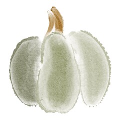 Watercolor pumpkin illustration isolated on white background. Hand drawn gourd clipart for thanksgiving, autumn harvest, vegetarian and halloween design. Seasonal vegetable element.