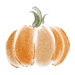 Watercolor pumpkin illustration isolated on white background. Hand drawn gourd clipart for thanksgiving, autumn harvest, vegetarian and halloween design. Seasonal vegetable element.