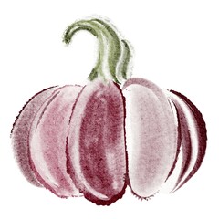Watercolor pumpkin illustration isolated on white background. Hand drawn gourd clipart for thanksgiving, autumn harvest, vegetarian and halloween design. Seasonal vegetable element.