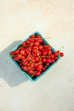 Red currants in the box 