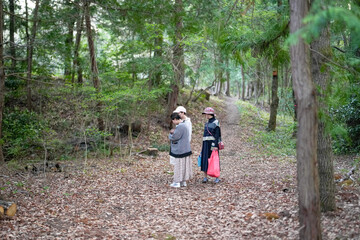 Fototapeta premium Three people are walking in a forest. One of them is wearing a red bag