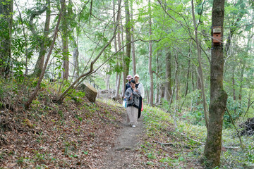 Obraz premium A group of people are walking through a forest, with some of them carrying backpacks. Scene is peaceful and serene, as the group enjoys their time in nature