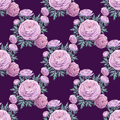 Seamless pattern Watercolor floral pink ranunculus flower bouquet composition, green leaves. Hand drawn flowers realistic botanical illustration plum background. Wedding cards print fabric clipart