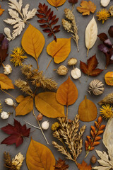 Autumn Relics – Dried Leaves and Plants on Grey
