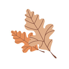 Set Of Autumn Oak Leaves. Clipart. Autumn brown leaf icon. Flat vector illustration isolated on white background.