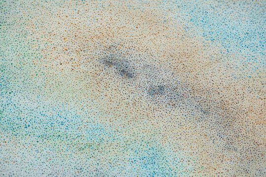 Delicate abstract art