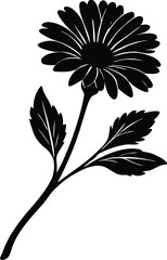 Calendula Sprig Silhouette Illustration | Calendula Flower Outline