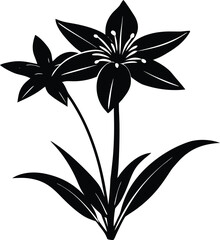 Camassia Bloom Silhouette Illustration | Camassia Flower Outline