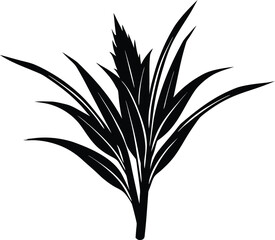 Lemongrass Stalk Silhouette Illustration | Lemongrass Herb Outline