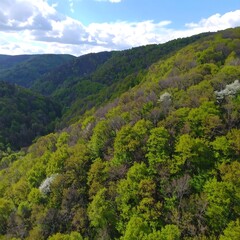 Obraz premium Lush green forested mountain range, bright sky with clouds