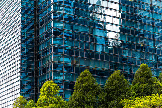 Urban forest facing glass high-rise tower
