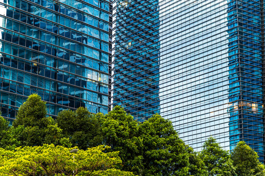 Treetops facing sustainable office towers cityscape