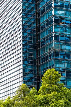 Geometric office building corner rising above treetops