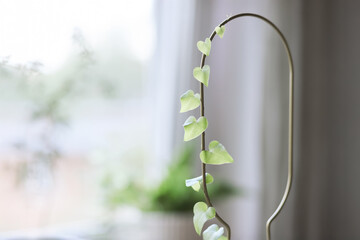 Heart-shaped vine climbing metal support