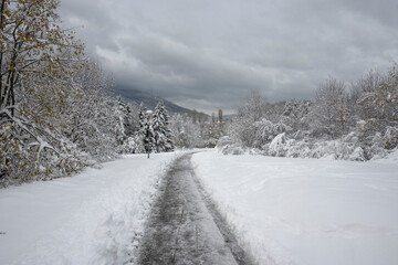 Fototapeta premium Winter Panorama of South Park in city of Sofia, Bulgaria