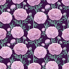 Seamless pattern Watercolor floral pink ranunculus flower bouquet composition, green leaves. Hand drawn flowers realistic botanical illustration plum background. Wedding clipart print fabric
