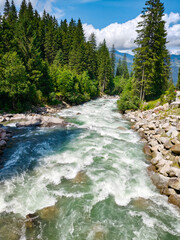 Krimml, Austria - 08-06-2025 : River flowing down between rocks and trees, at the Krimml Waterfalls