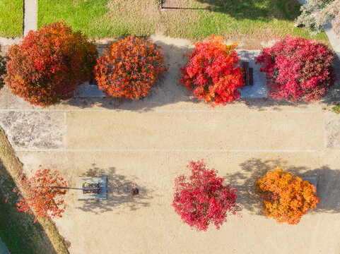 Colorful Fall trees lining a garden playground