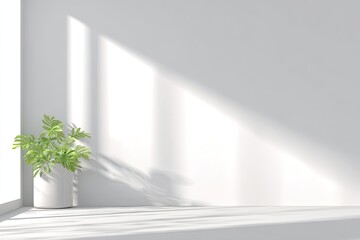White room, sunlit shadows, minimalist plant