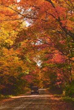 Autumn country road maple trees Upper Peninsula Michigan film
