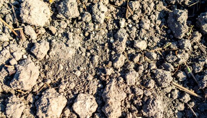 Close-up view of dry, dark soil with small rocks and debris