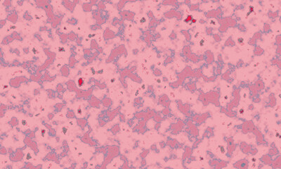 Blood cells microscopic view science medical