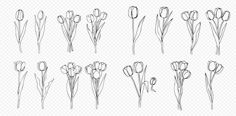 A collection of hand-drawn tulip illustrations, featuring single stems and bouquets in a minimalist black line art style.
