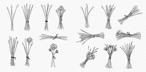 A collection of hand-drawn bouquets and bunches of flowers, illustrated in a monochrome sketch style on a transparent background.