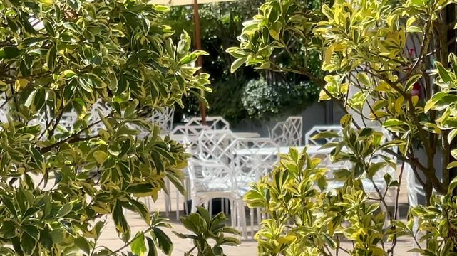 English garden patio with trimmed hedges framing white chairs and a parasol-shaded table, offering a peaceful outdoor dining setting in slow motion elegance